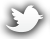 Tweeter